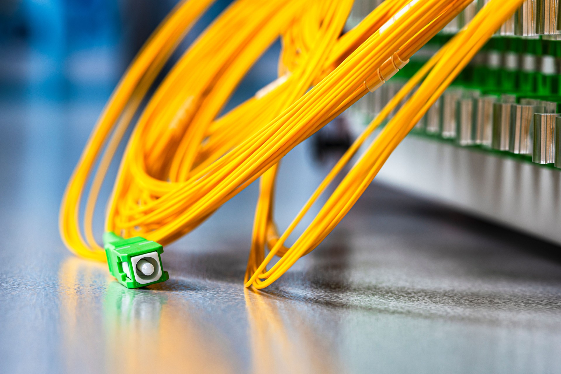 Cablejat de fibra òptica connectat a un panell de xarxa, infraestructura d’Internet per empreses.